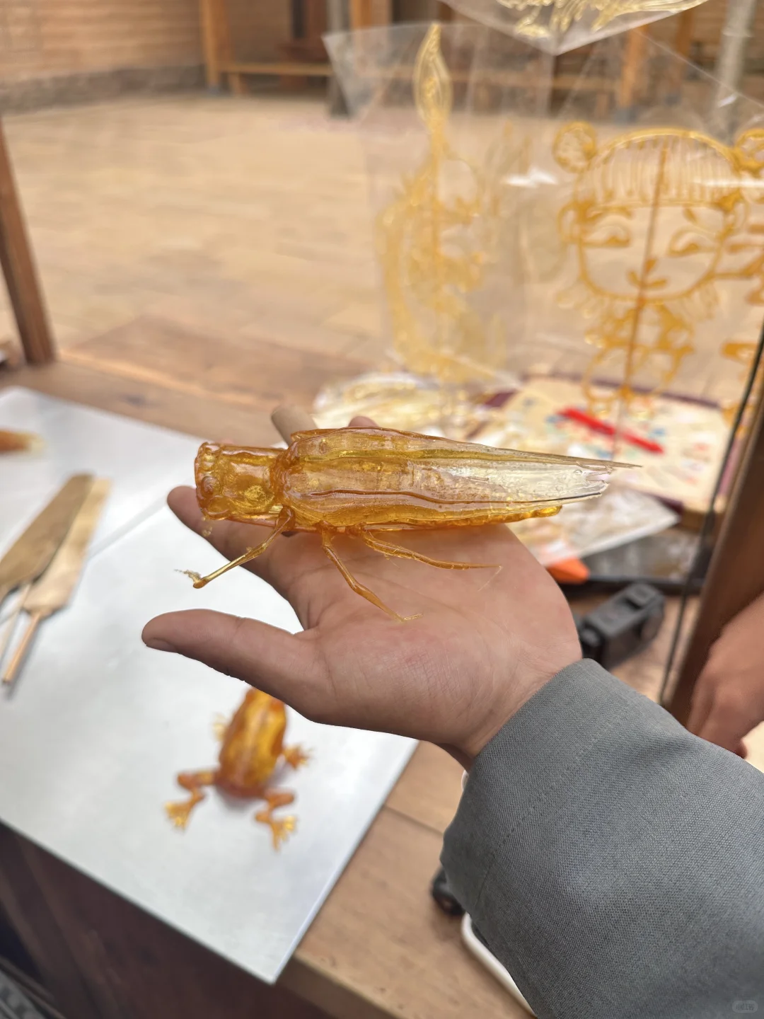 城里的蝉｜抓住那只蝉就以为能抓住夏天