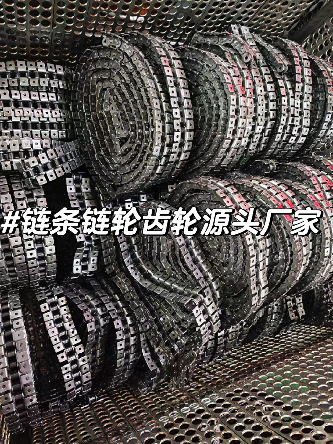 链条链轮齿轮联轴器源头厂家