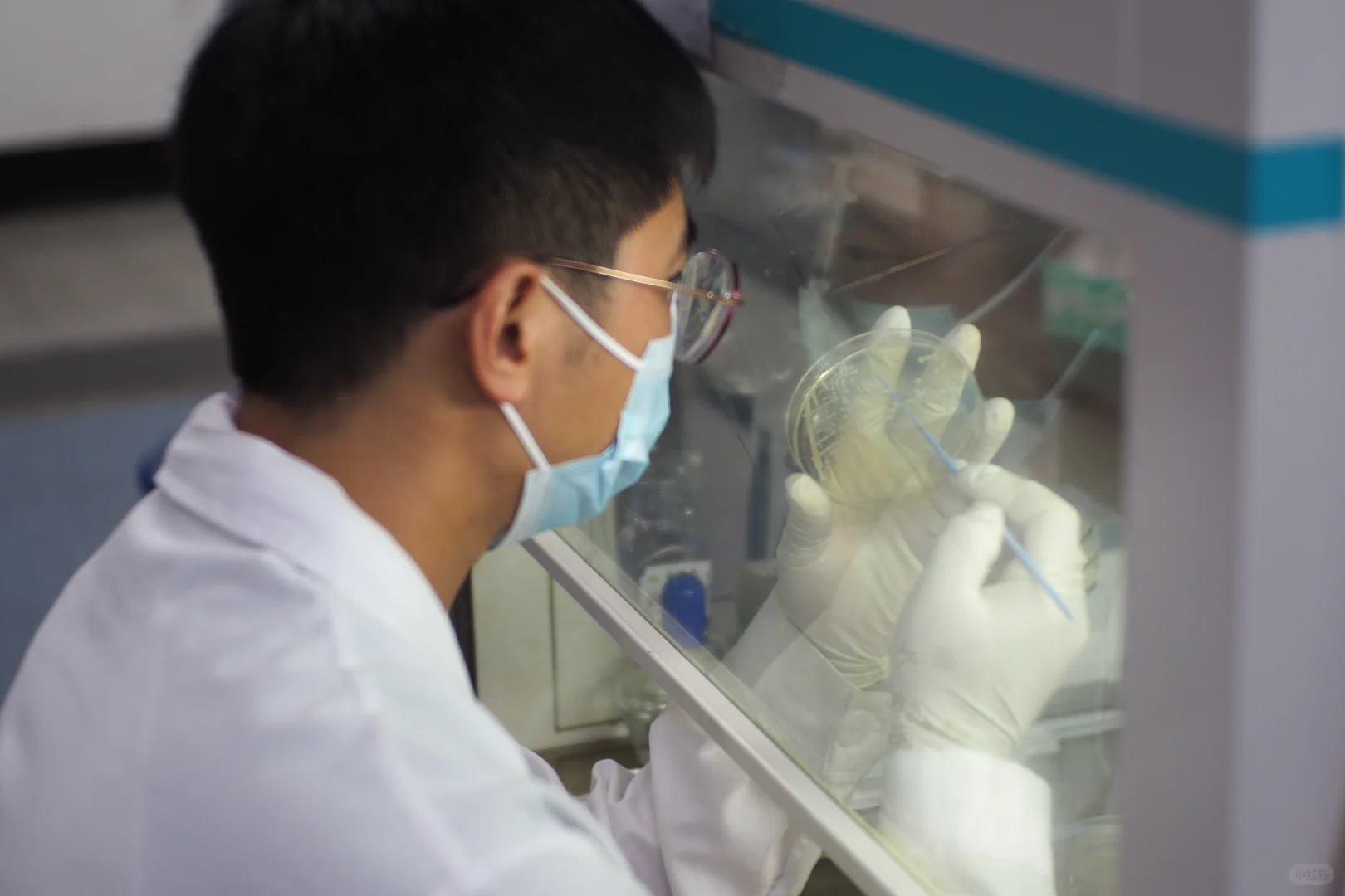 那是一条从雏鸡到牦牛的兽医路