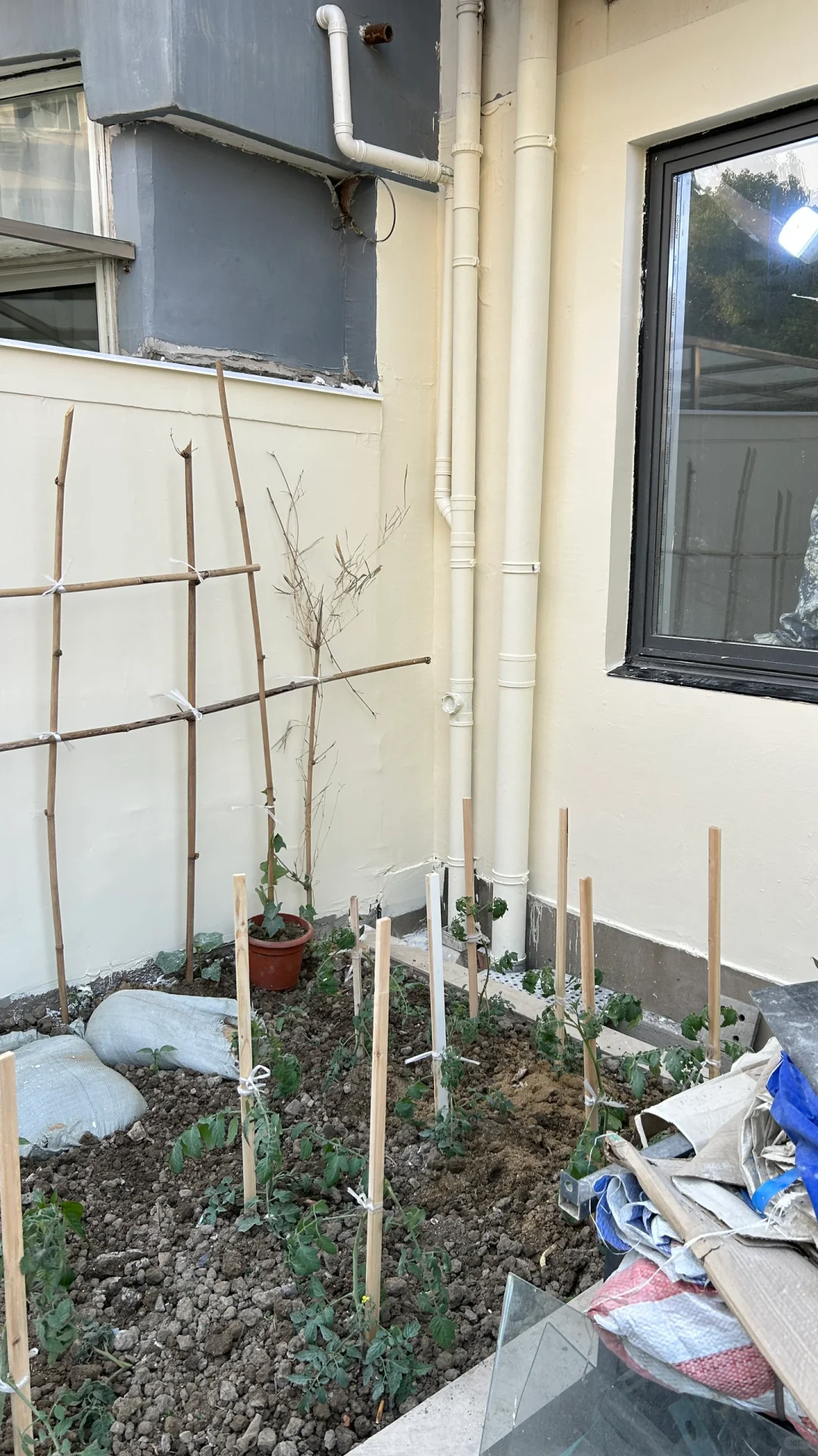 我家奶呼呼的外墙真好看！！！