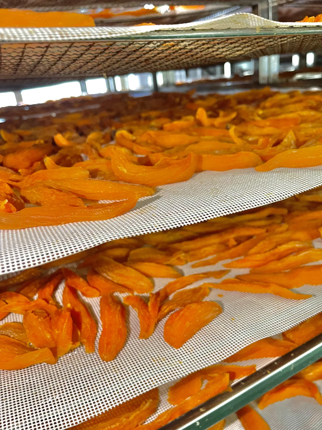 老公为我开了一个红薯干加工厂！