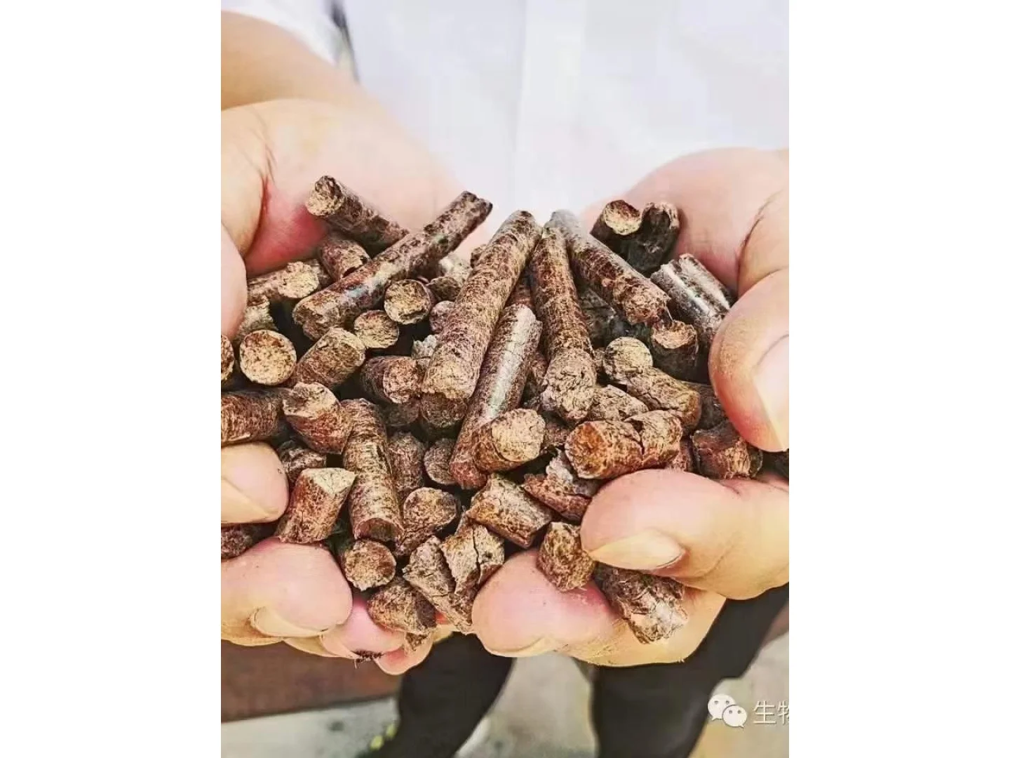 生物质颗粒价格实惠