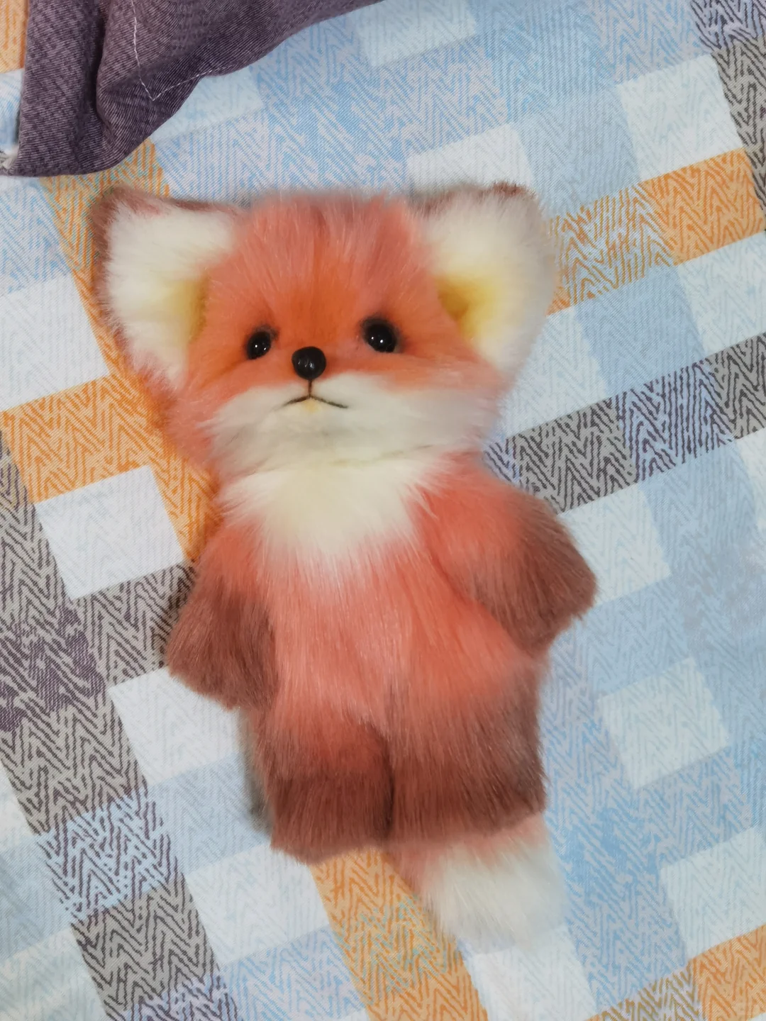 oi小狐狸来咯！