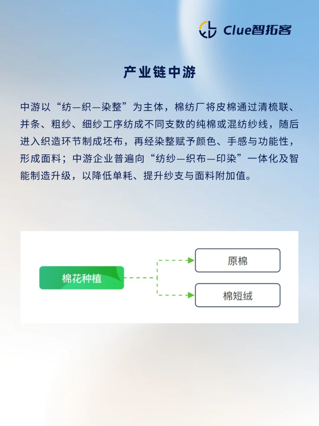 一天吃透一条产业链:棉花