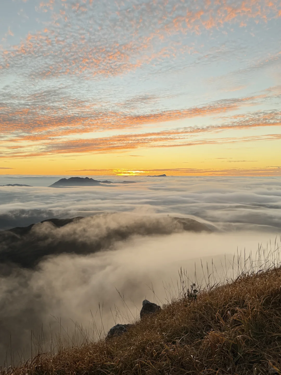 郴州八面山|去了两次还想去的地方(附攻略)