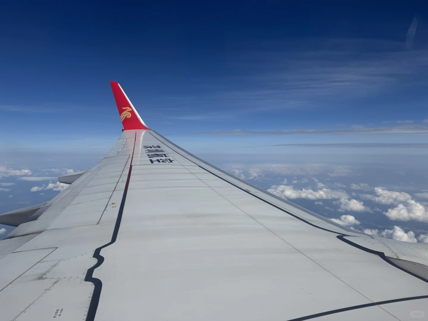 飞行✈️｜原来经济舱还能这么舒服❗️
