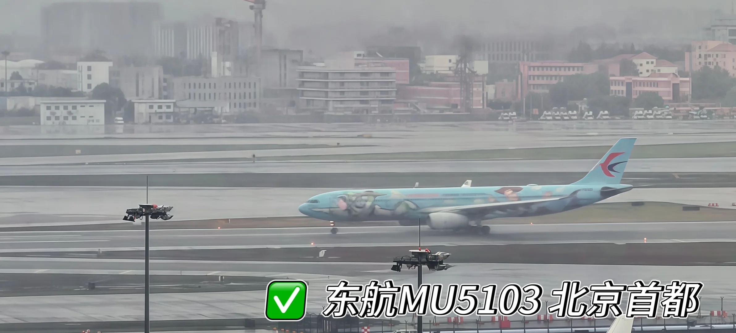 虹桥机场全景打卡 宽体机盛宴