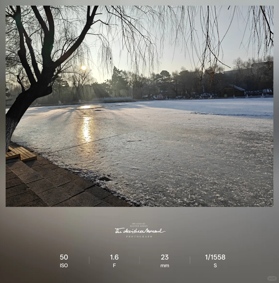 FERRAGAMO品牌糖画