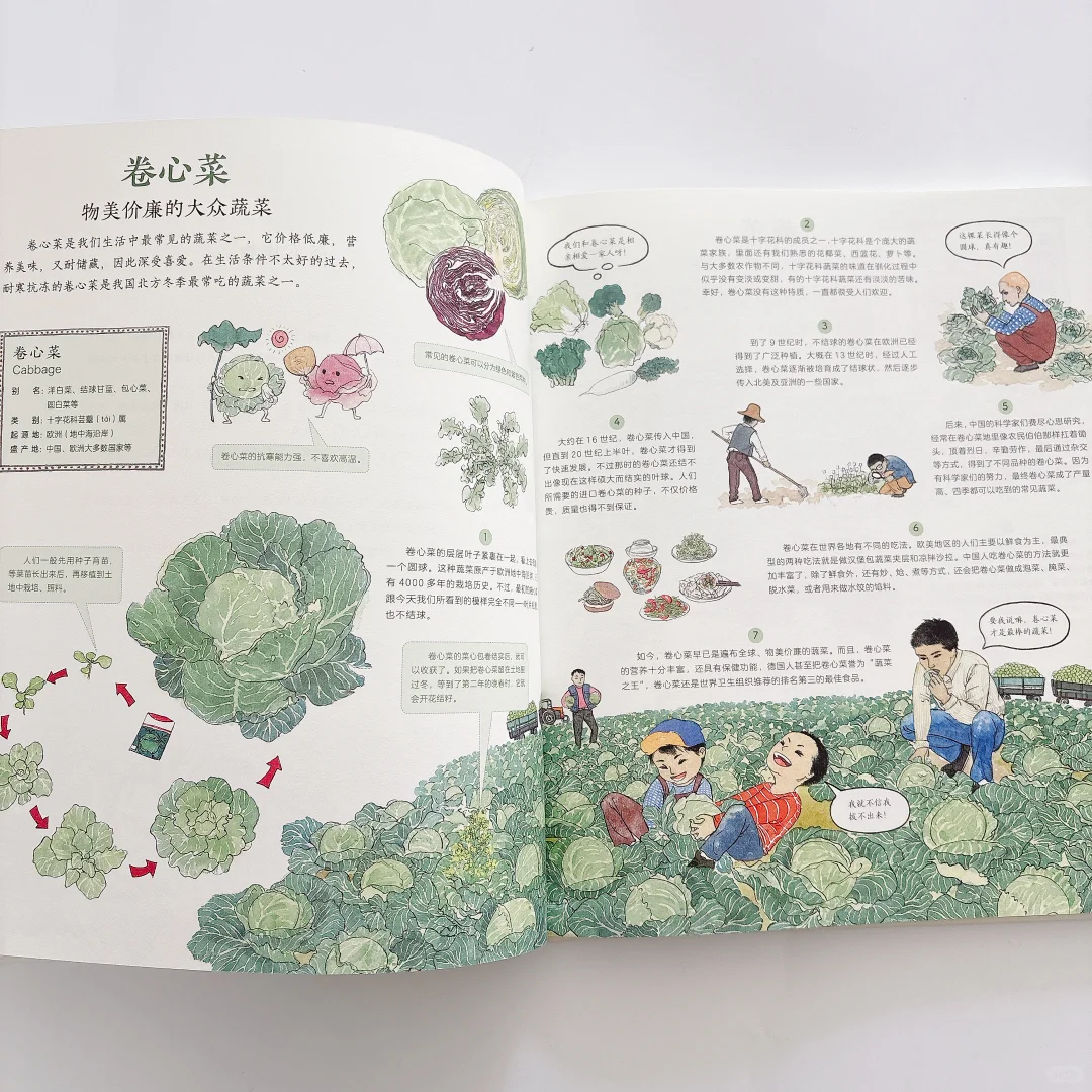 太好看了‼️每天和女儿抢着看这本科普书