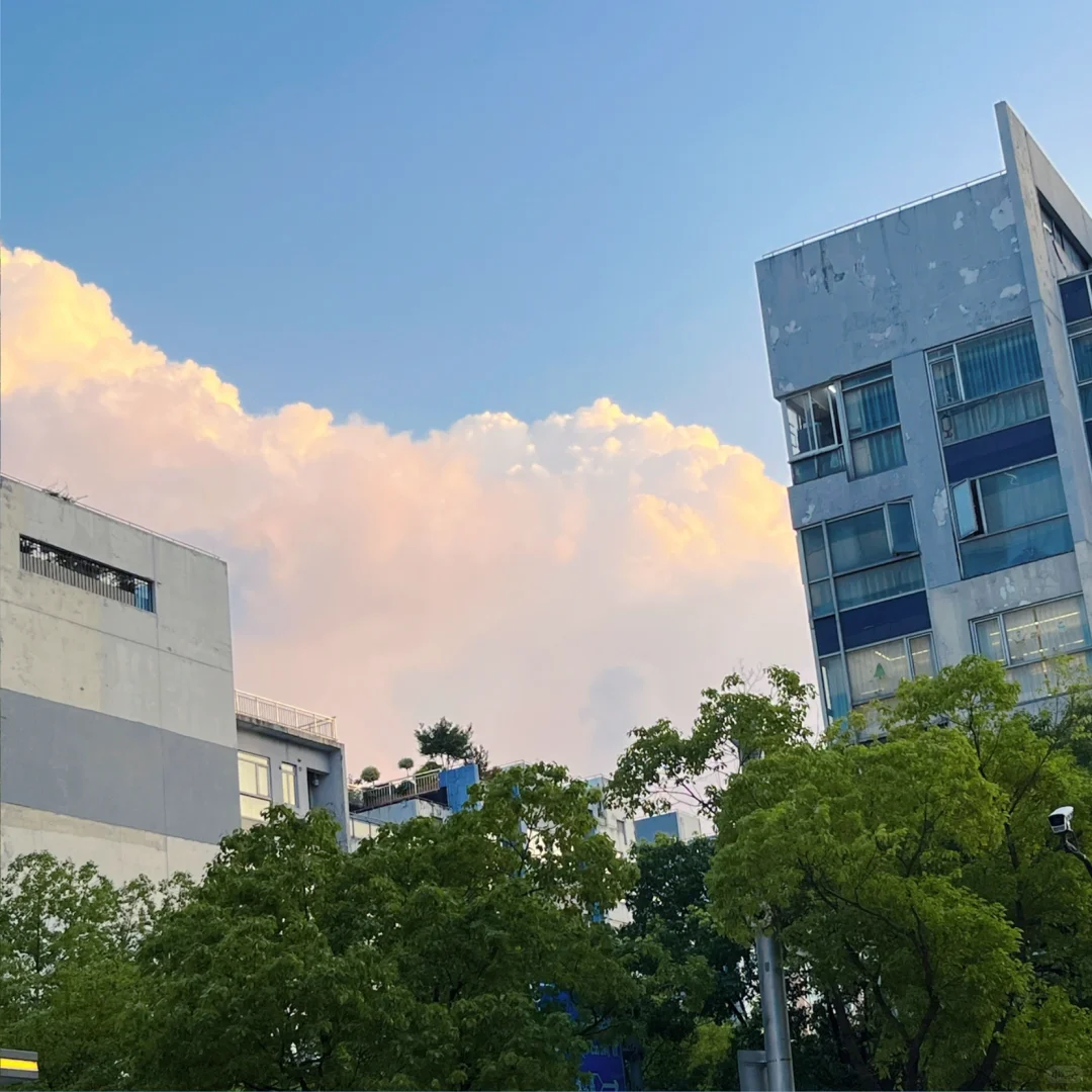 在意环保的环境学子有多无力