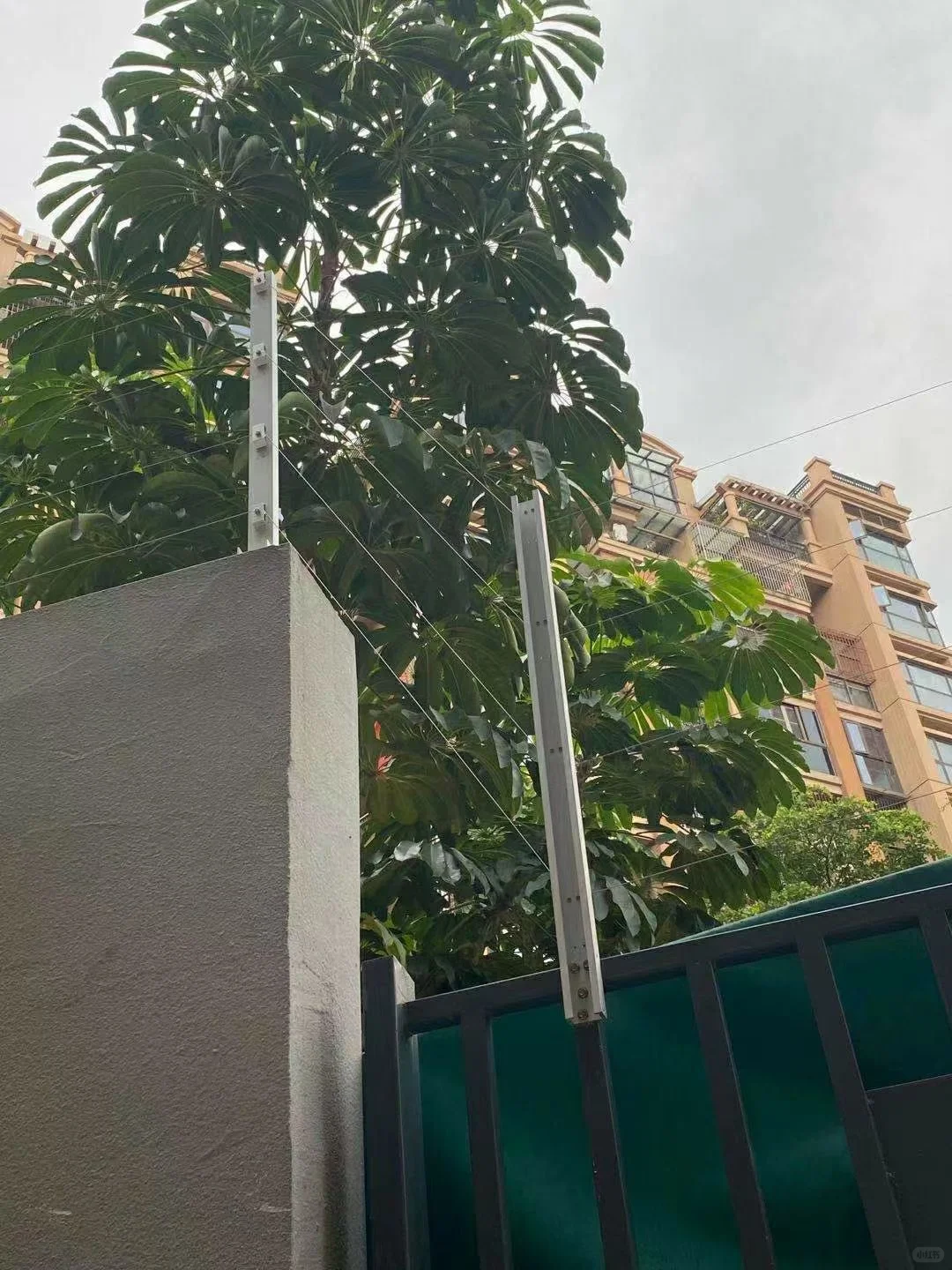 大学校园周界安装自动报警的系统解决方案