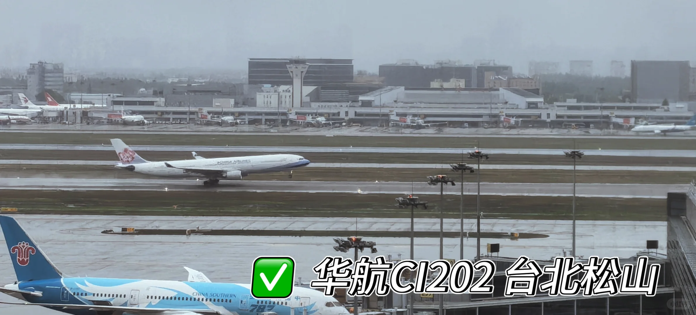 虹桥机场全景打卡 宽体机盛宴