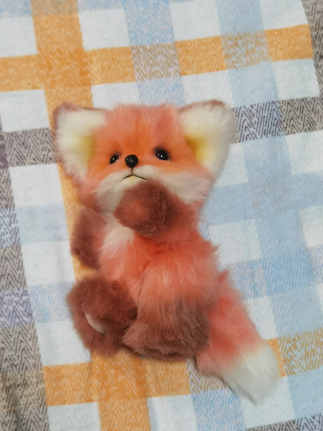 oi小狐狸来咯！