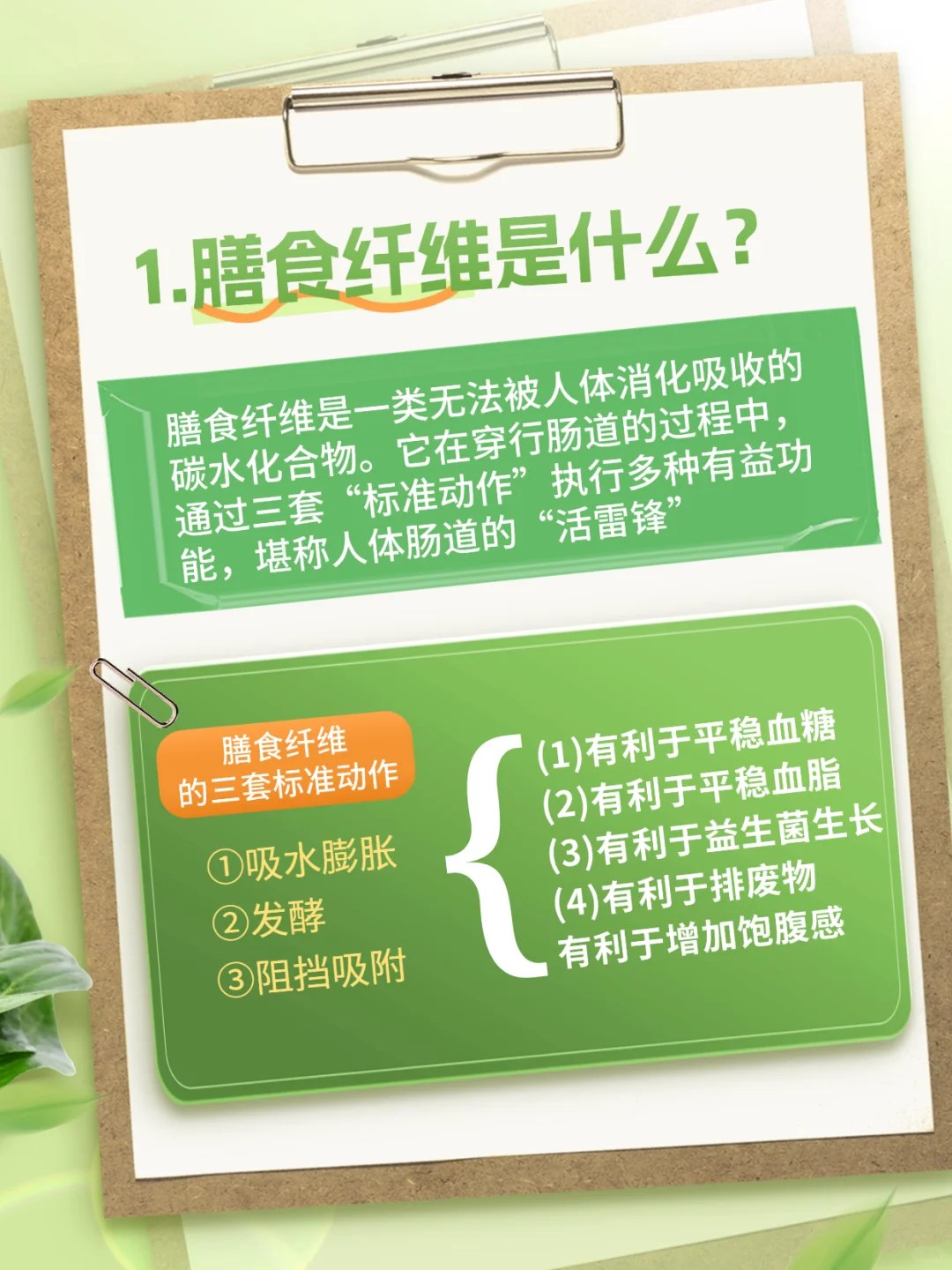 每天一把膳食纤维?解锁“一路畅通”?