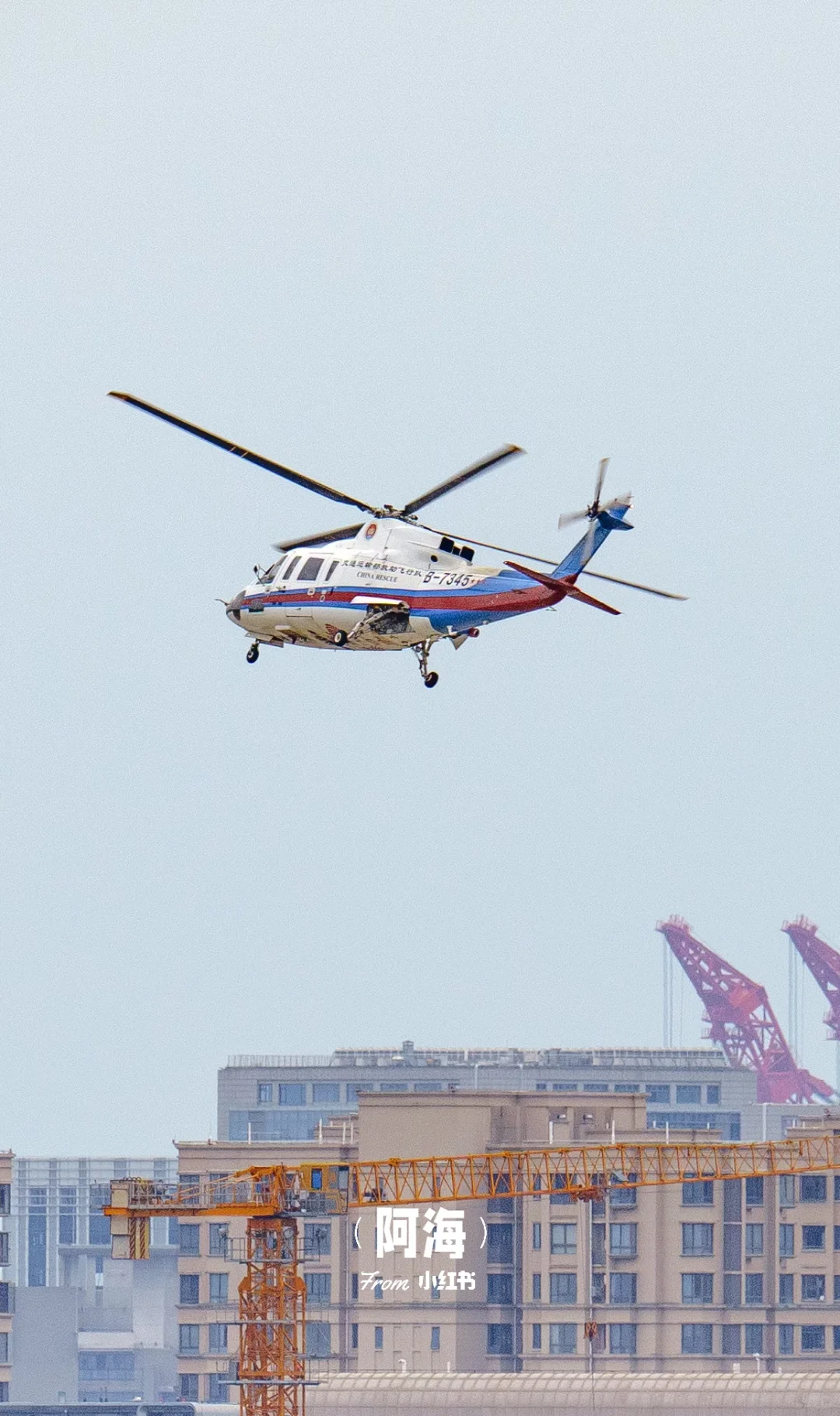 直升机在厦门可是稀罕物