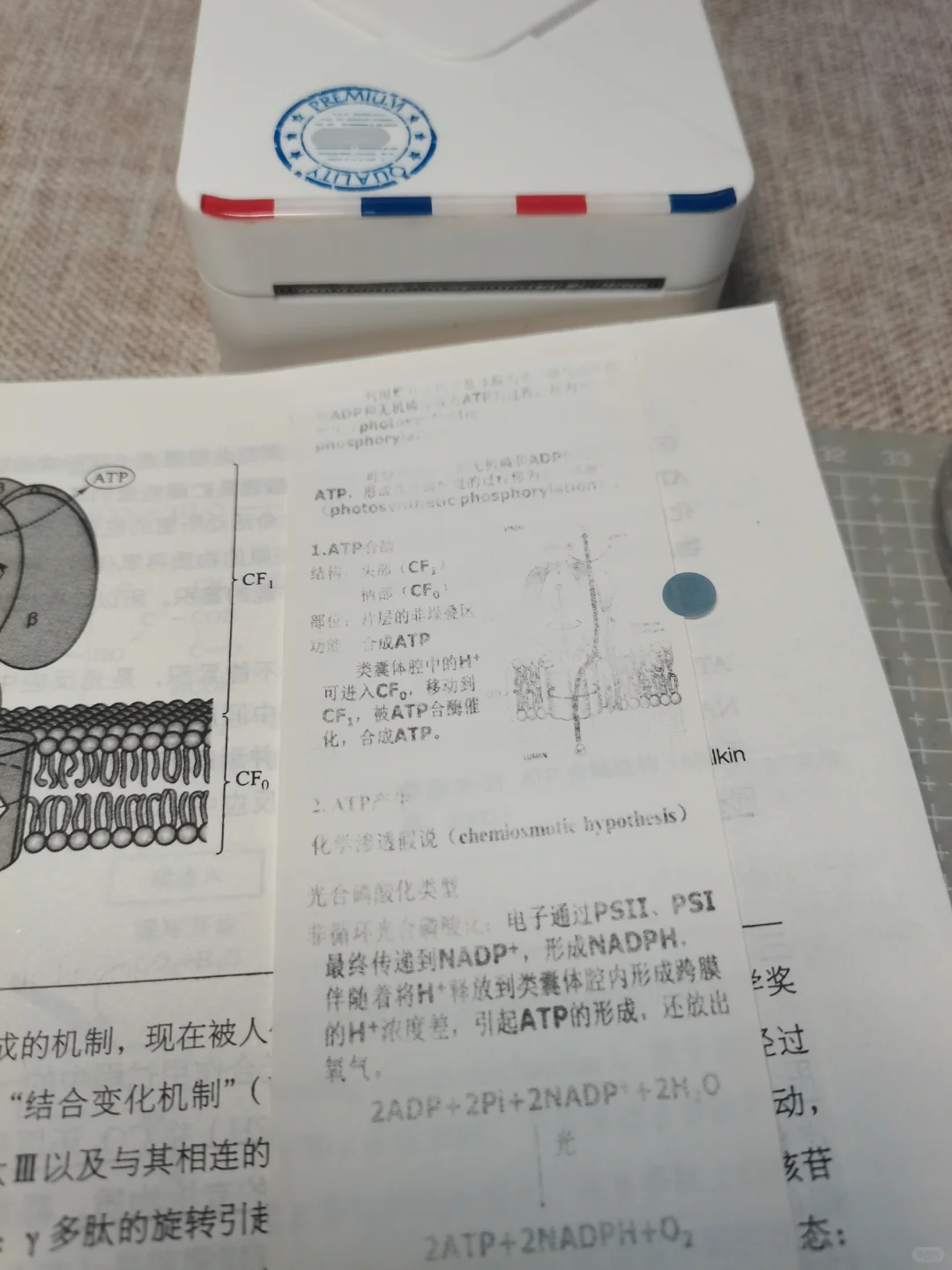 研还没考，知识就先消失了......