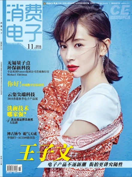 《消费电子》录用一篇!