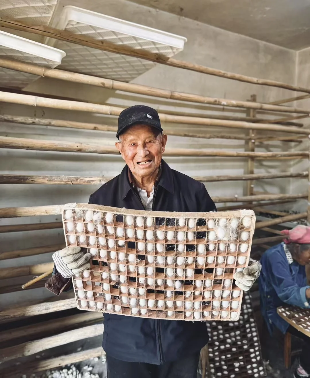 自己种桑养蚕?坚持有机农业与生态保护
