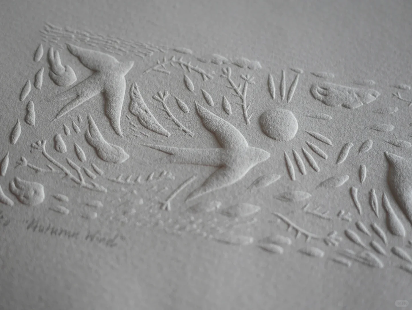 ?️‍?️ 无色压印凹凸版画太喜欢了！