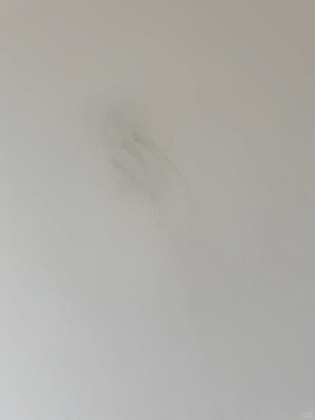 求助！乳胶漆脏了该怎么擦！求小妙招！