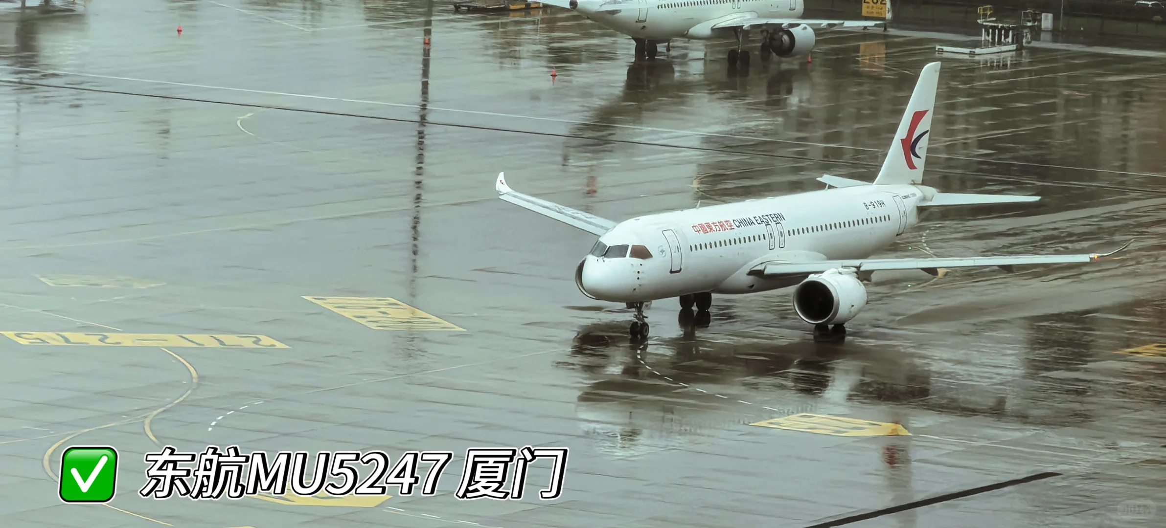 虹桥机场全景打卡 宽体机盛宴