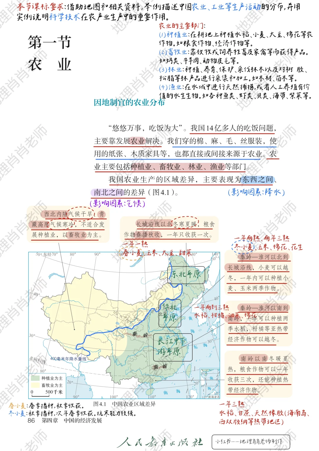 (定稿)新人教版八上｜课本笔记｜4.1农业