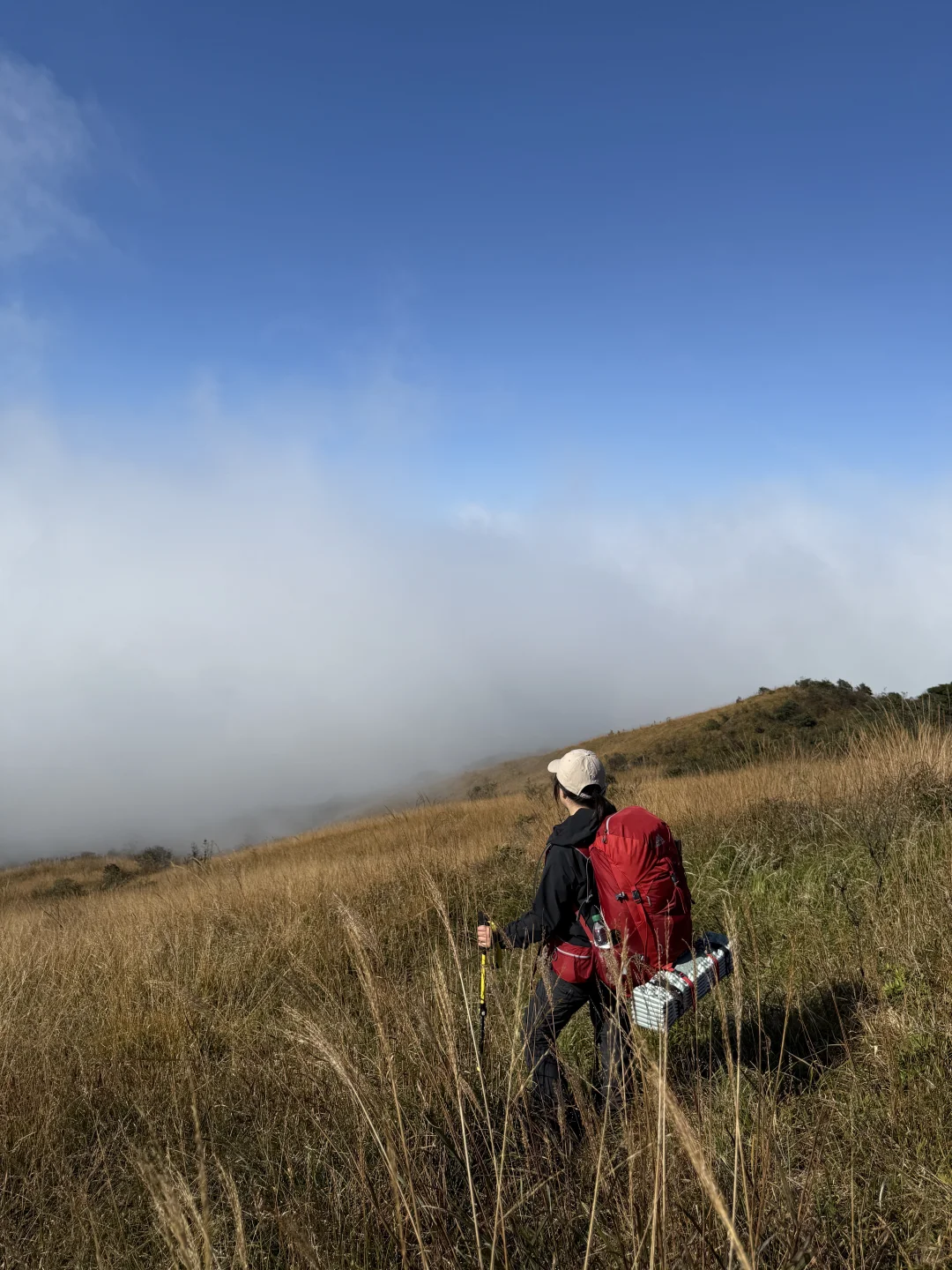 郴州八面山|去了两次还想去的地方(附攻略)