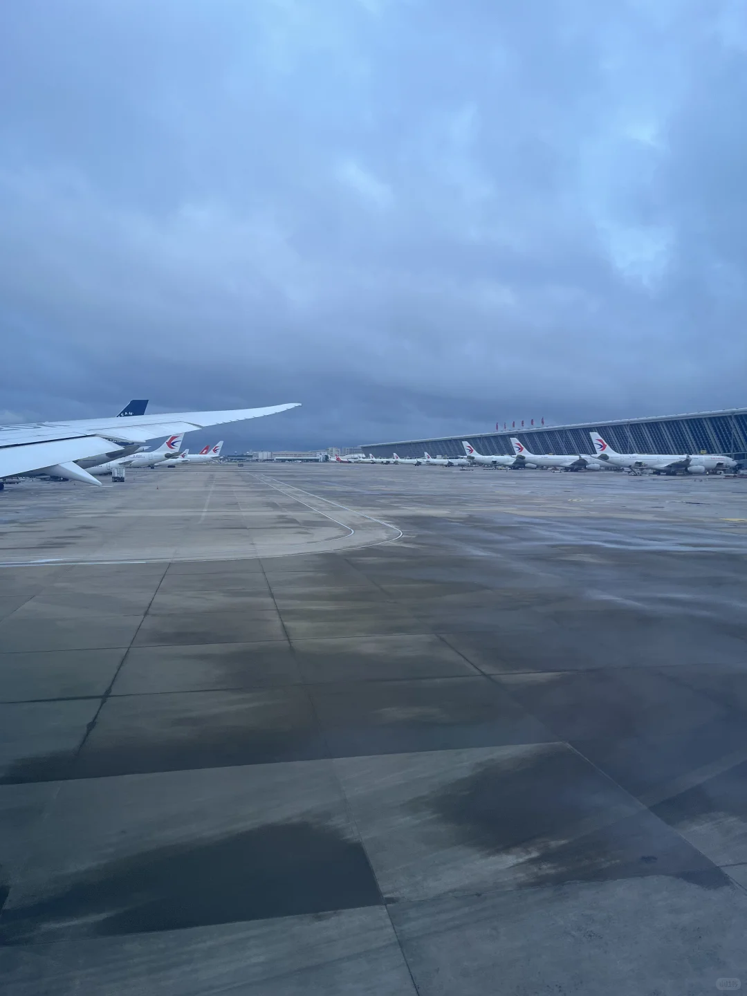 第一次坐上海航空·波音787宽体机