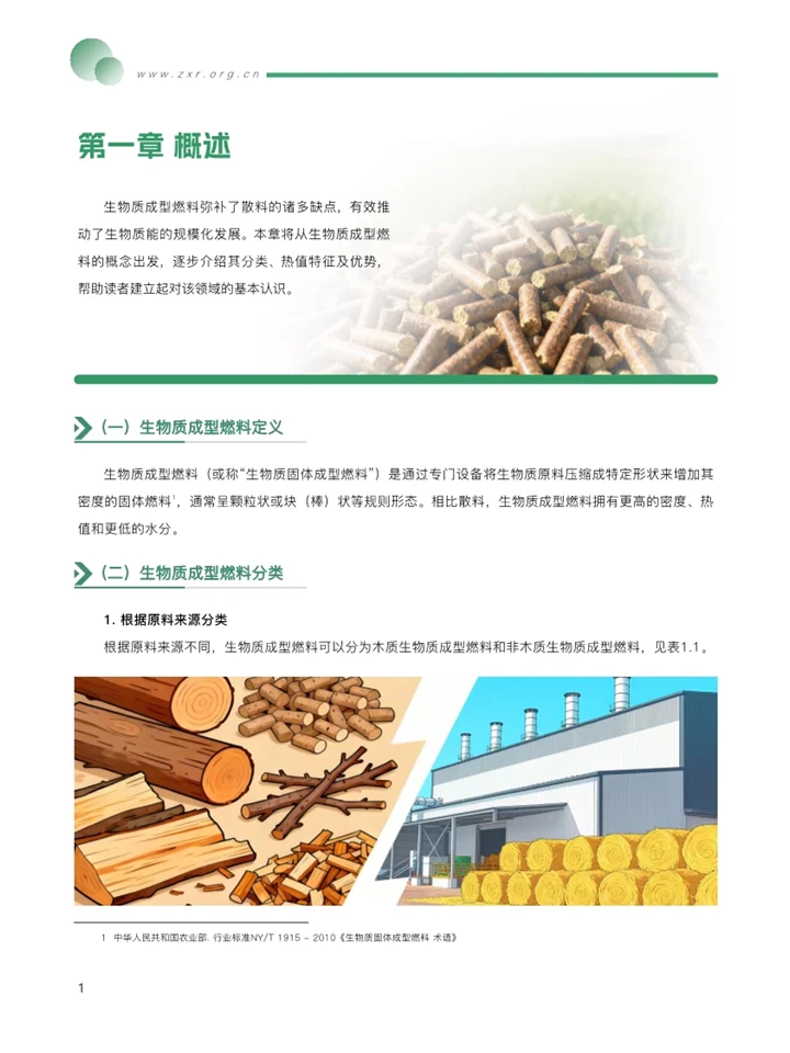一篇报告洞察2025生物质成型燃料发展趋势