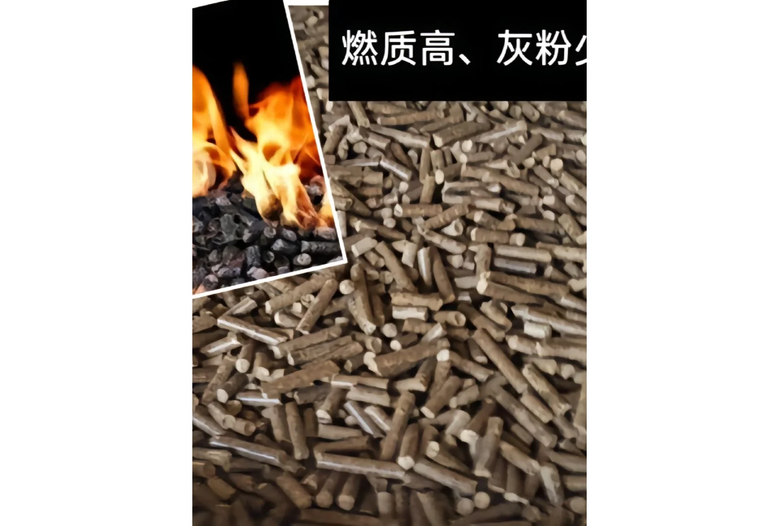 生物质颗粒价格实惠