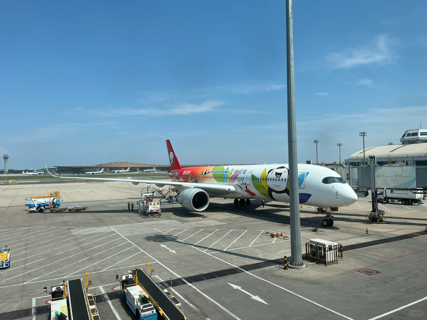 飞行日记｜又是被热情投喂的一次