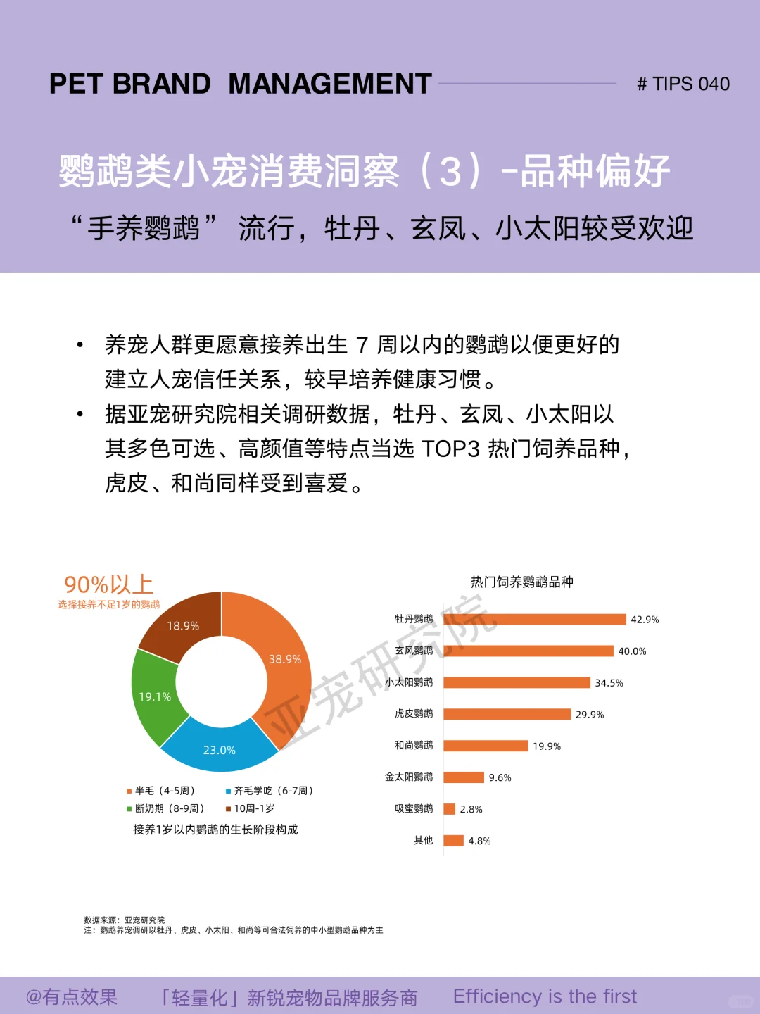 040tips｜2025小宠市场：鹦鹉