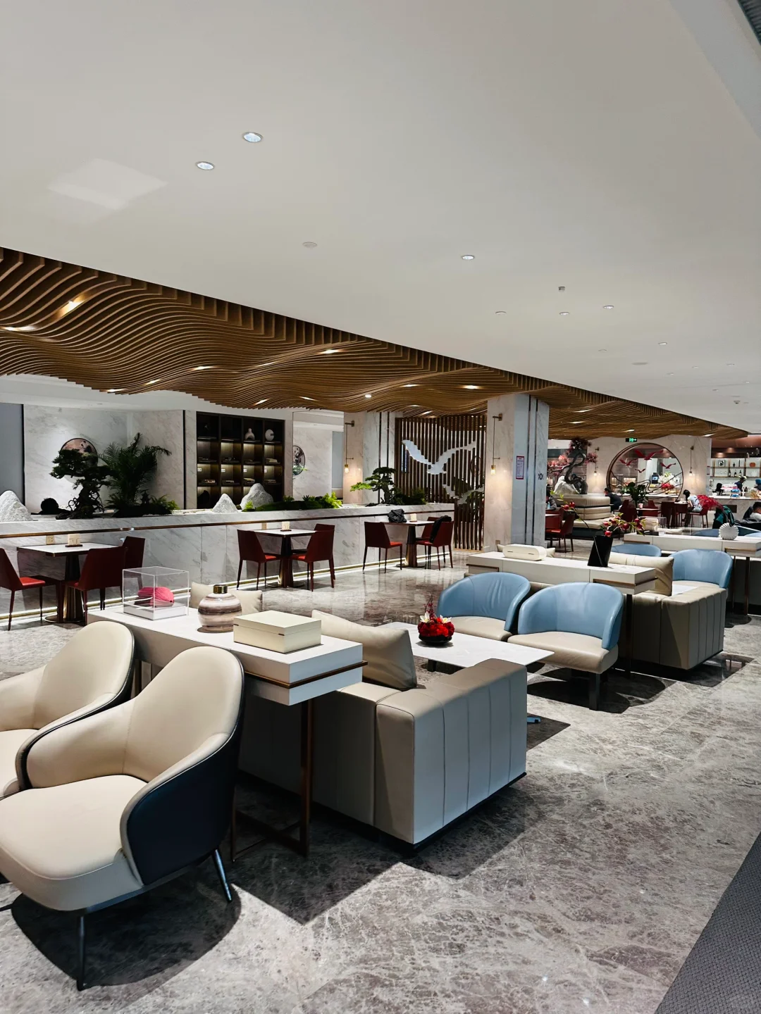 四川航空熊猫小飞侠 A350公务舱体验?️