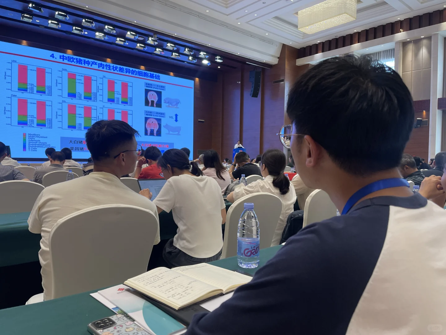 那是一条从雏鸡到牦牛的兽医路