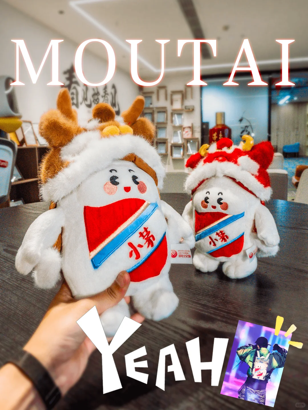 ?宠粉福利！小茅公仔× 2小只 ❗