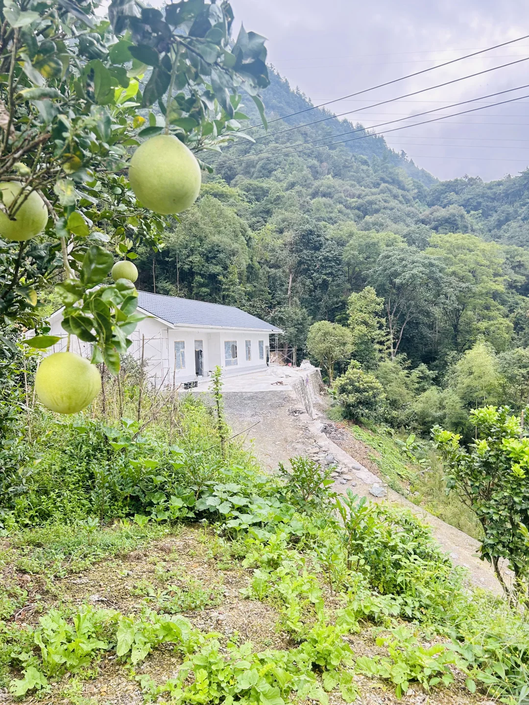 自建房外墙漆［天然彩砂］，替你们试过了！