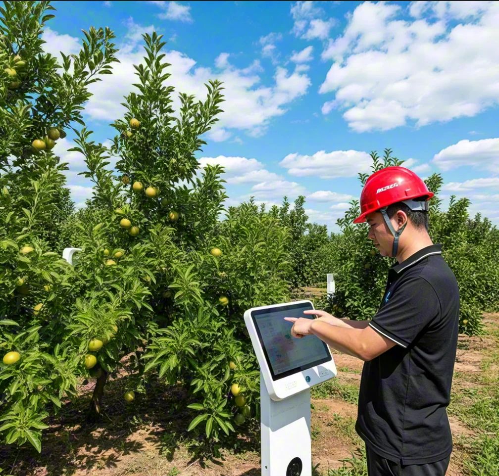 ?国赛智慧果园：当传统农业撞上黑科技