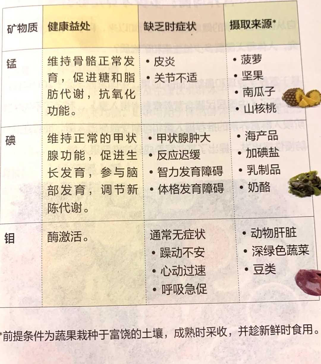 矿物质是什么？有什么作用？