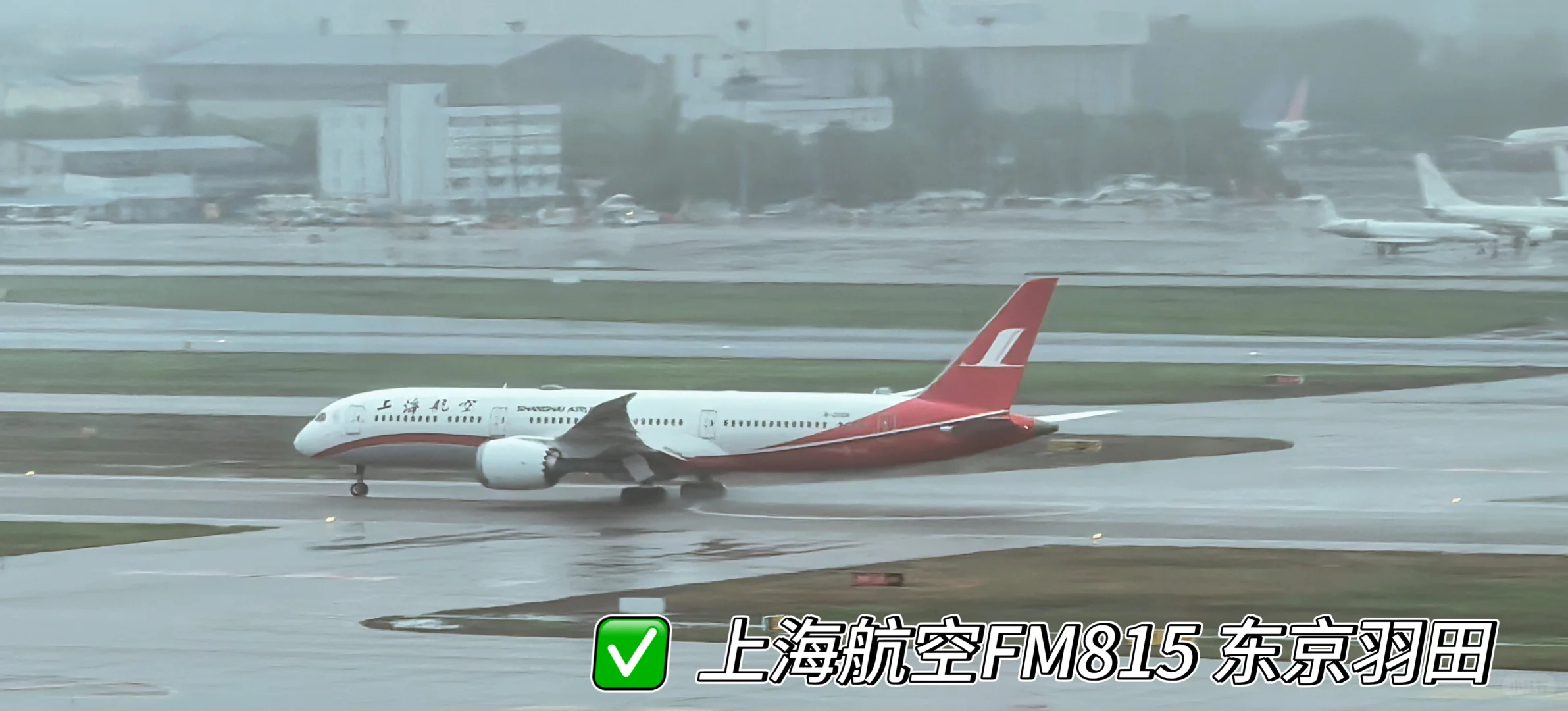 虹桥机场全景打卡 宽体机盛宴