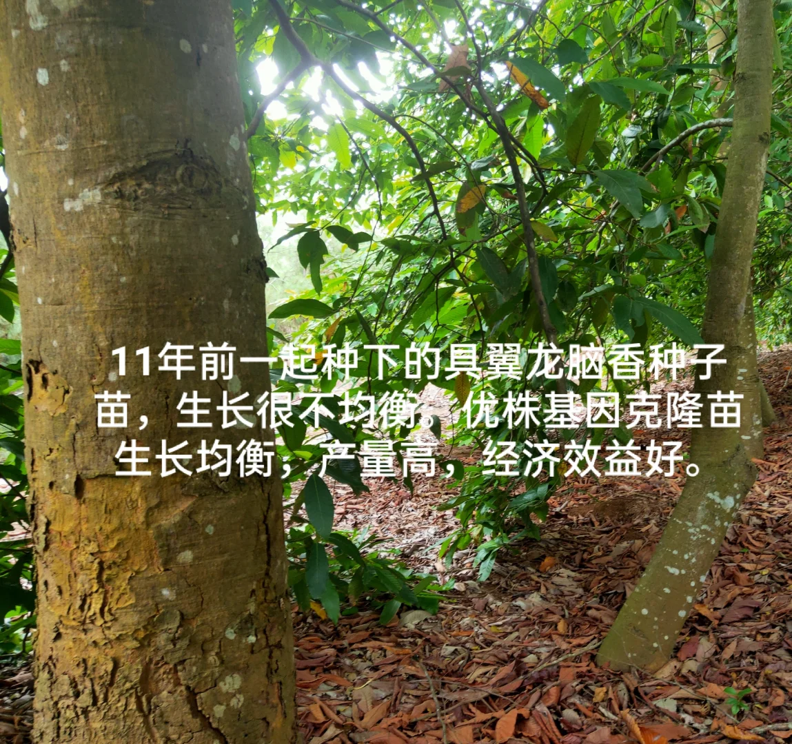 农业为什么挣钱难???