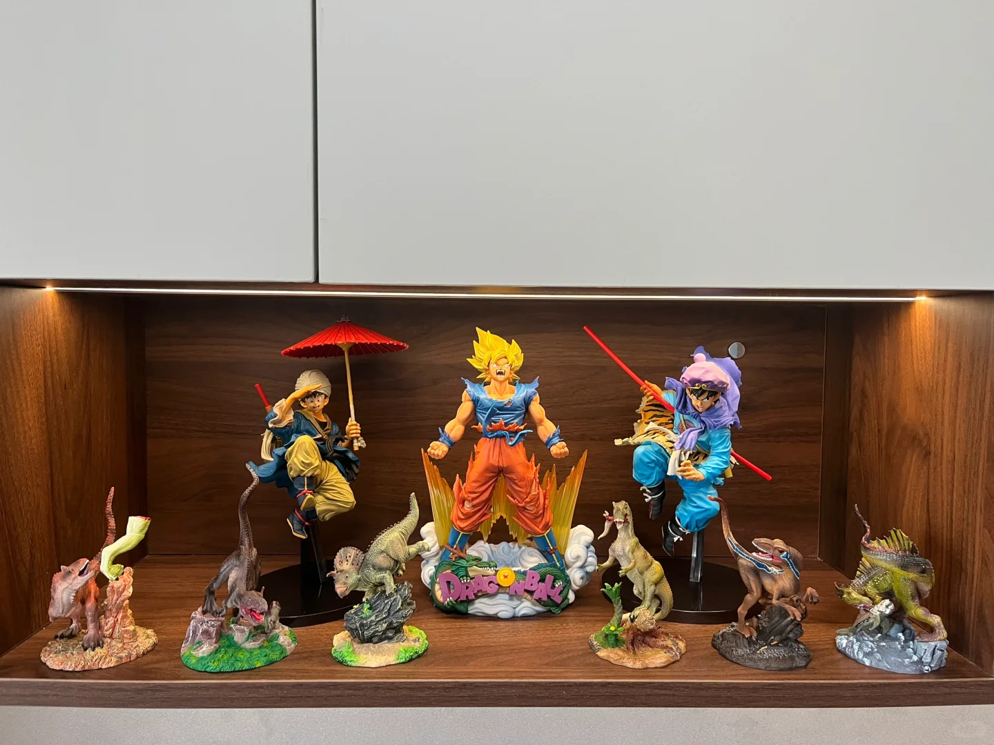 入坑半年的龙珠景品