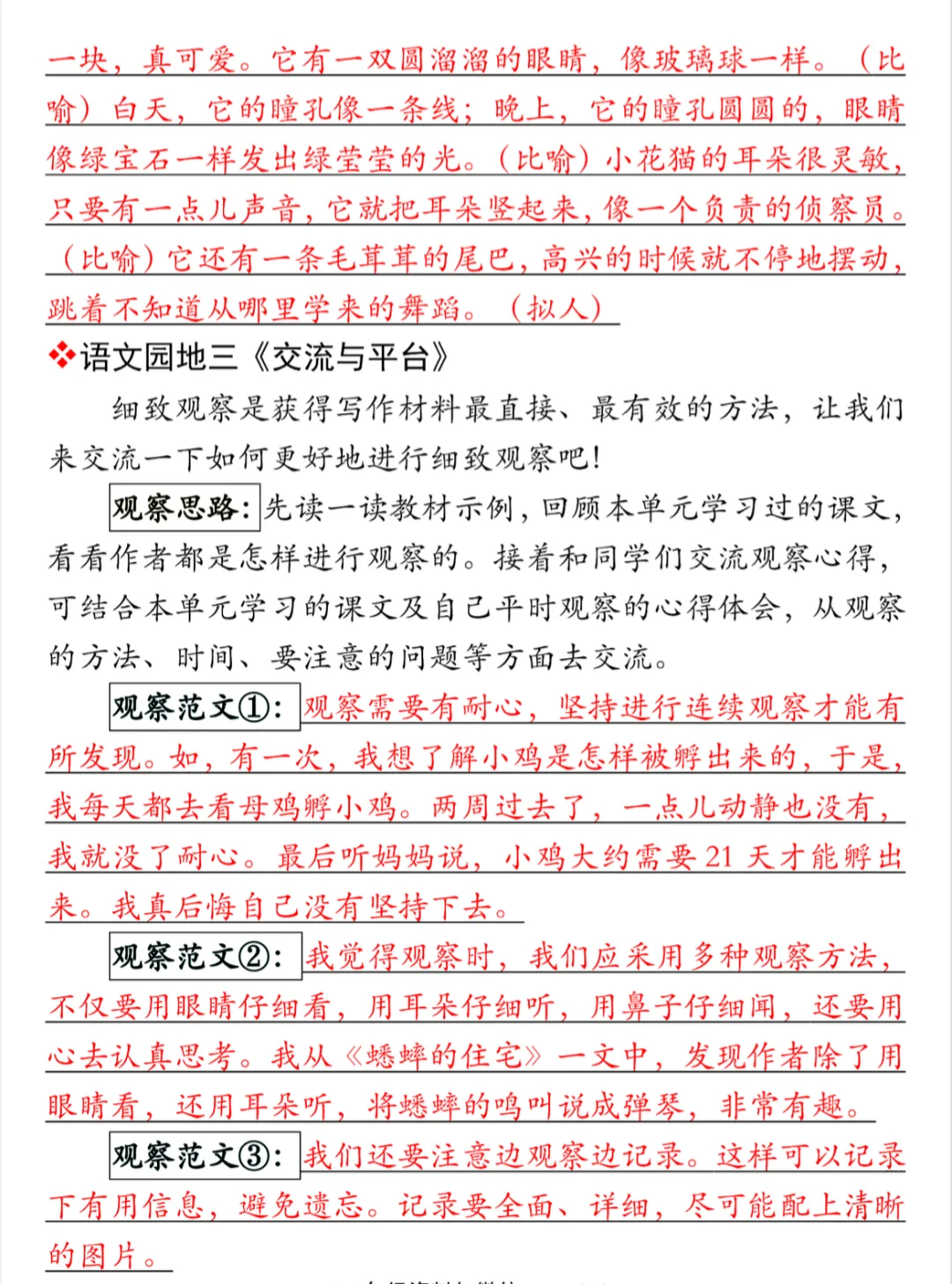 四年级语文课后小练笔|提升写作能力就靠它