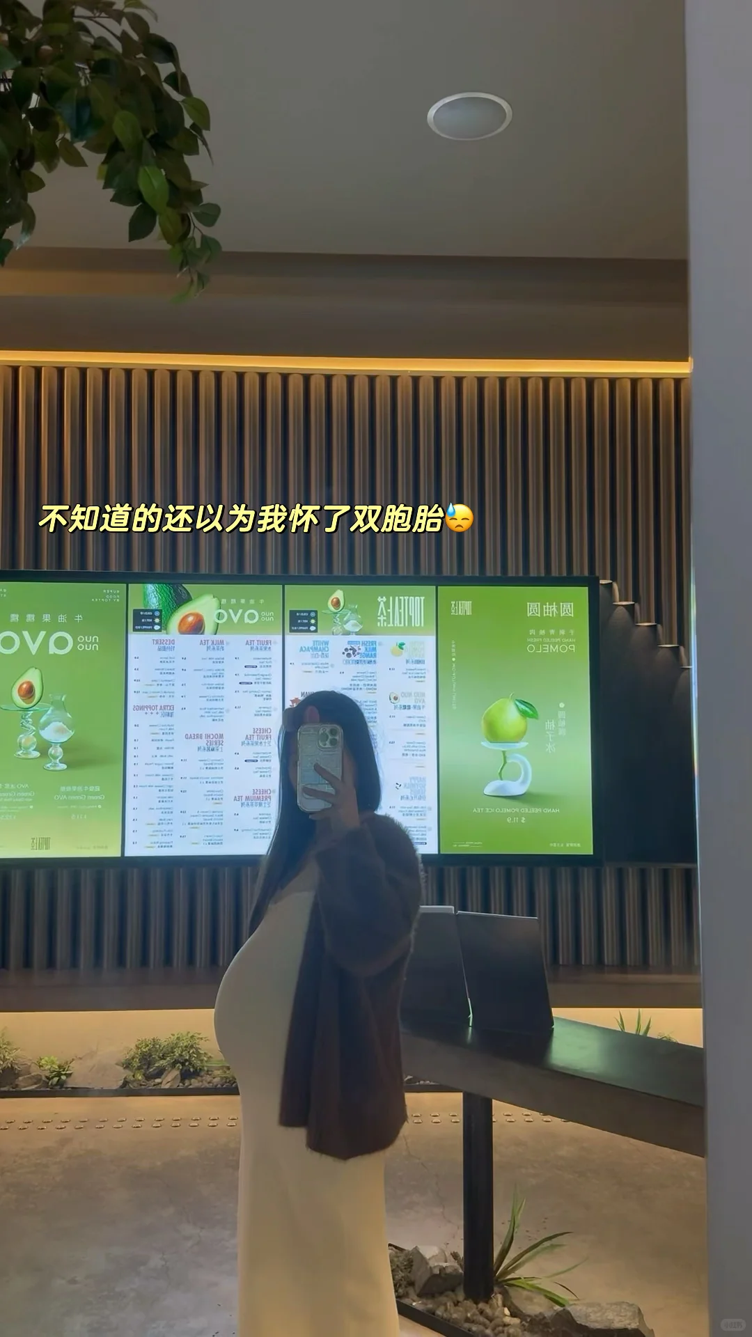 ??38周小孕妇勇闯狗展的一天plog