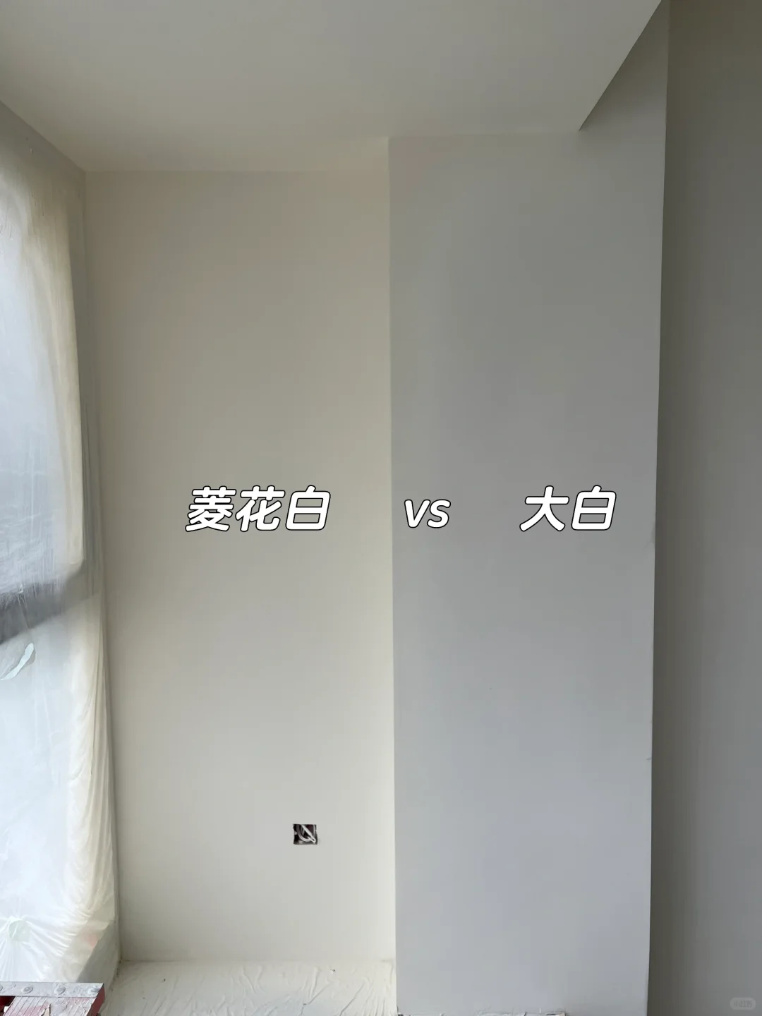 是我心心念念的菱花白没错了