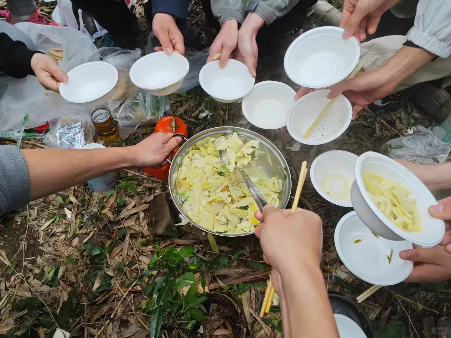户外挖笋必看!你可能从没想过的法律风险