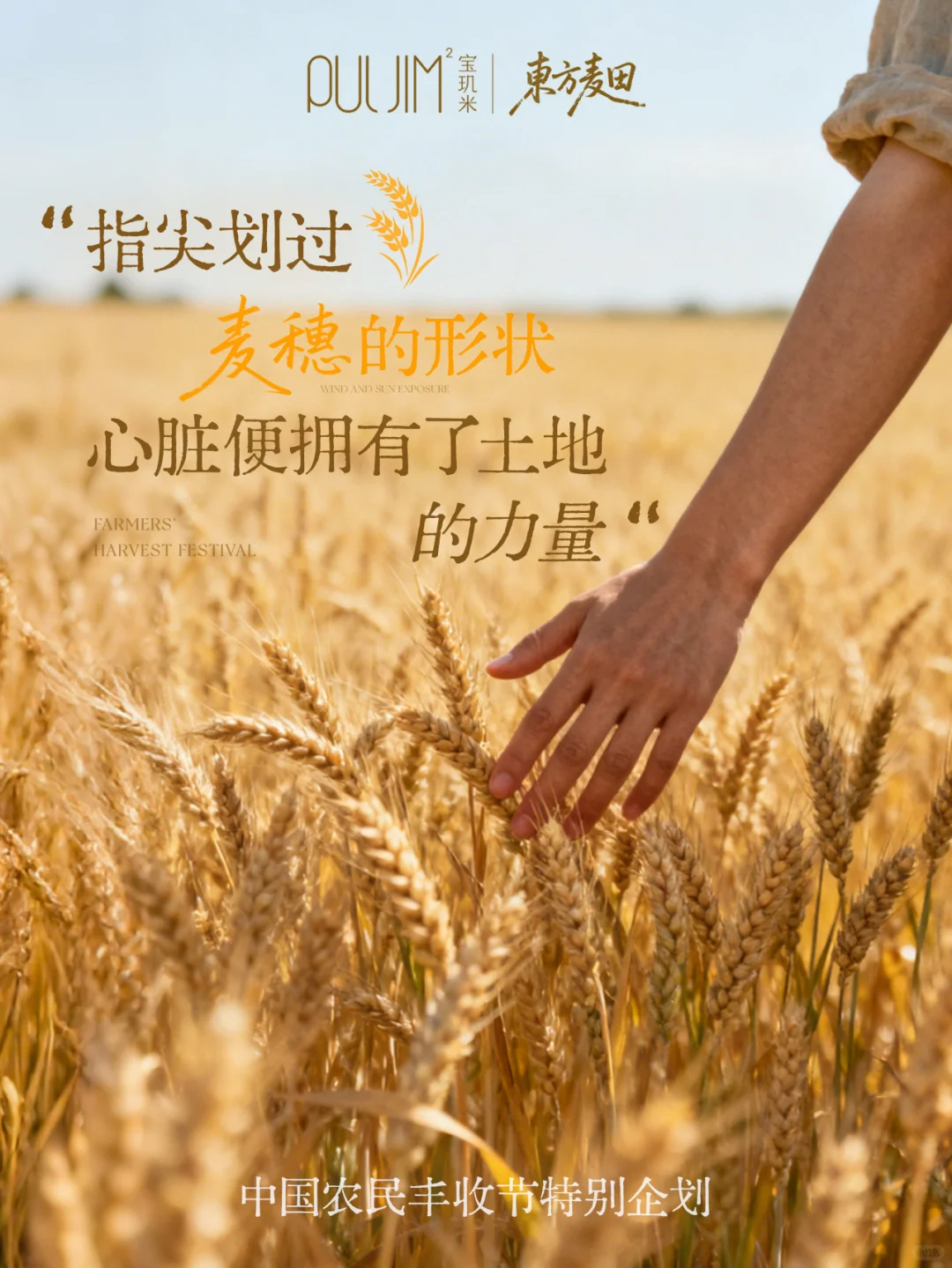 秋分|庆祝中国农民丰收节