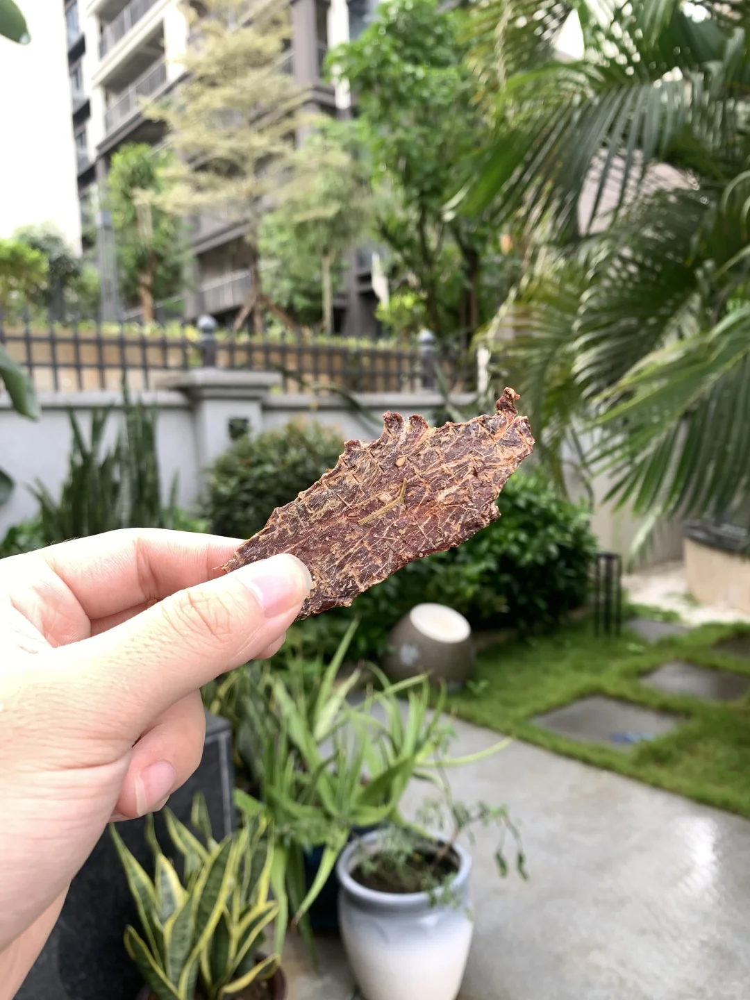 懒人福音！不用撕不用等的即食牛肉干来了?