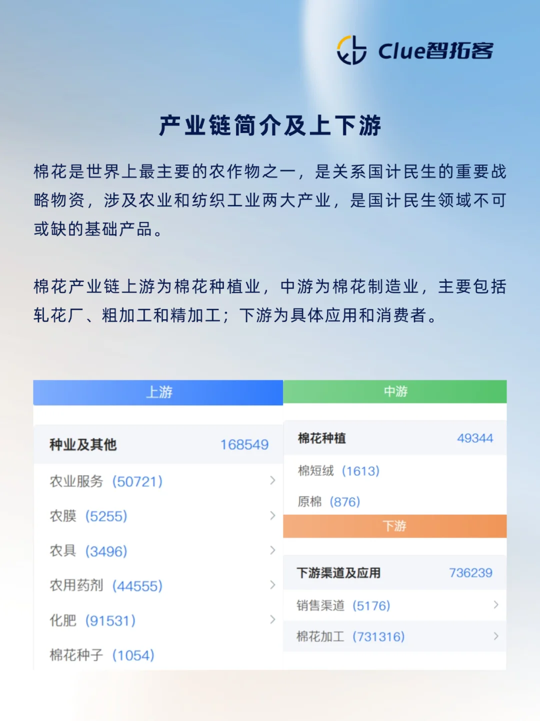 一天吃透一条产业链:棉花