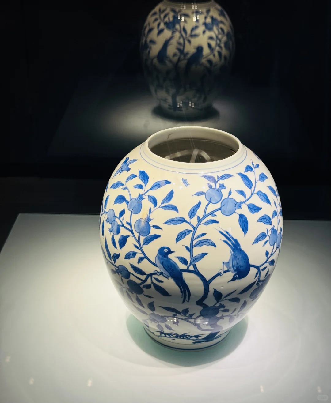 景德镇特种兵二日游