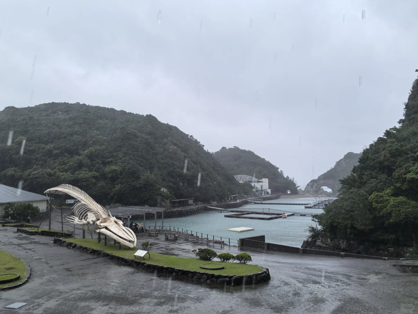 日本关西地区纪伊半岛和歌山太地町，海豚湾